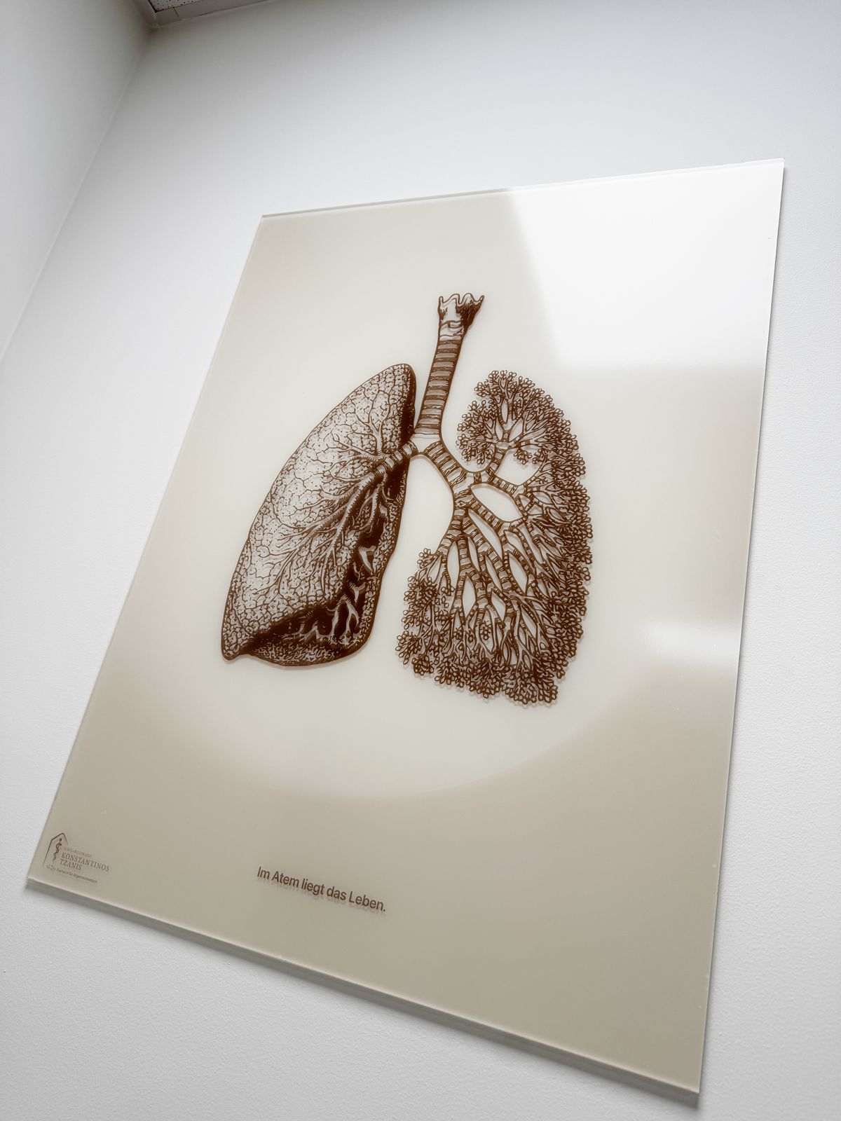 Anatomische Kunstdrucke in der Praxis Tzanis